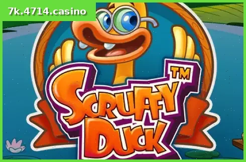 Scruffy Duck